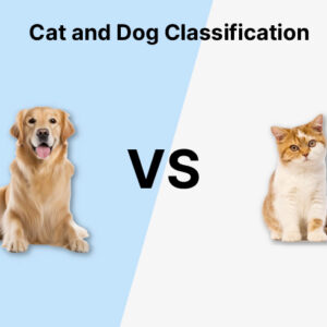 Cat Vs Dog Image Classification CNN Project